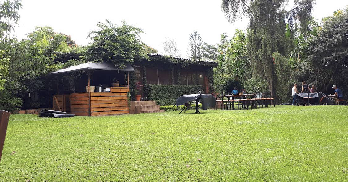Garden seating under mature trees at Orchid, Lilongwe
